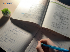 У шахтинцев появилась возможность стать учениками школы самозанятых