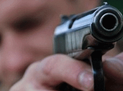 В Шахтах приют для бездомных животных расстреляли из пневматики