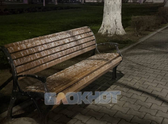 Лавочки в Шахтах стали местом, где голуби устроили себе общественный туалет