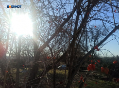 В Шахтах еще теплее и без осадков