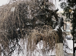 О погоде в Шахтах на сегодня и день предстоящий