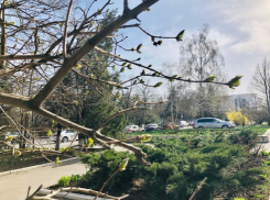 О погоде в Шахтах на выходные, и не только