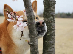 Яркое солнце и теплый ветер придут в Шахты в четверг