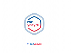 Пользователей Госуслуг предупредили о проблемах с некоторыми сайтами