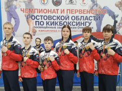 Первенство и Чемпионат региона по кикбоксингу прошли в Шахтах 