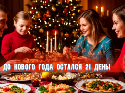 До Нового года остался 21 день 