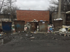 Труп младенца, найденный в мусорном баке в Шахтах, оказался доношенной девочкой, весом почти 4 кг