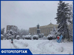 «Короче, тут все попадало!»: непогода в Шахтах повалила деревья и оставила без света десятки тысяч жителей