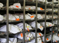 На сбор и доставку трупов в шахтинский морг сэкономили 