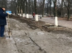 «До конца года деньги освоены не будут»: власти рассказали о проблемах с реконструкцией Александровского парка