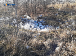 Мусор в карьере власти пообещали убрать за бюджетные деньги
