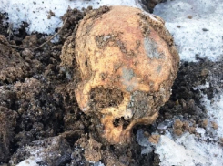 «В земле, привезенной со стройки в парке в Шахтах, обнаружили человеческие останки», - рассказал очевидец происшествия