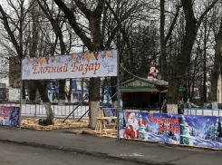 Предновогодние хлопоты: в Шахтах открываются ярмарки-базары