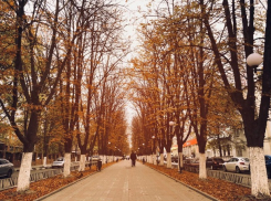 Осень - задумчивой грусти подруга: погода в Шахтах