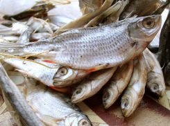 Пивная в Шахтах торговала сомнительной рыбой