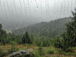 В последние выходные апреля в Шахтах ожидается похолодание и осадки