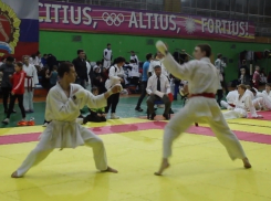 Каратисты из Шахт увезли золотой урожай из Новочебоксарска