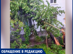 Рухнувшее в результате урагана дерево повредило газовую трубу по улице Новогодняя в Шахтах