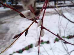  Днем прогреется до +7°C, но будет дождливо
