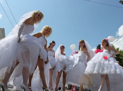 Шахтинцы женились в январе чаще остальных жителей Дона