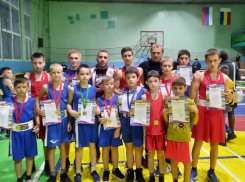 Шахтинские боксеры завоевали победы на областных соревнованиях