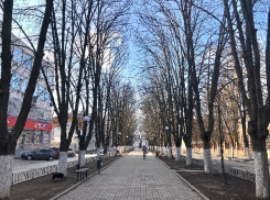 Погода в Шахтах и немного о примете дня