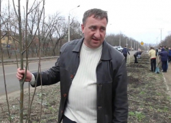 «Хотел быть прозрачным»: в соседнем с Шахтами Миллерово экс-мэр получил срок за пиар