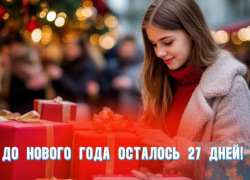 До Нового года осталось 27 дней