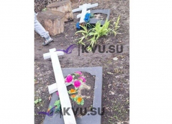 Жительница Шахт сообщила о случаях вандализма на кладбище по улице Воровского
