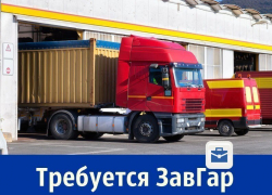 Требуется ЗавГар
