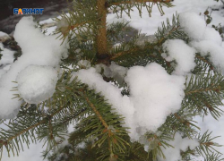 Днем будет ясно