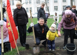 Шахтинские врачи высадили аллею деревьев