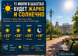 11 июля в Шахтах будет ясно и жарко
