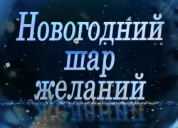 Шахтинские полицейские присоединились к челленджу «Новогодний шар желаний»