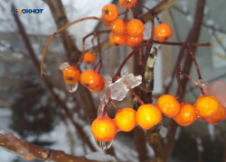 С утра будет пасмурно, днем синоптики обещают дождь