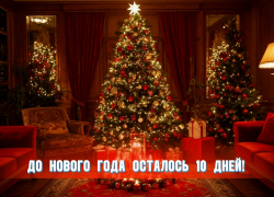 До нового года осталось 10 дней 