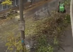 Спилили все деревья на одной из улиц у гимназии №7 в Шахтах