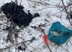 Ветошь, полиэтиленовые пакеты, мусор практически каждый день достают из канализационных колодцев