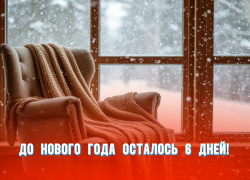 До Нового года осталось 6 дней