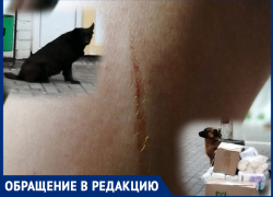 Агрессивные собаки снова напали на людей, покусали женщину, которая с ребенком шла по Садовой 