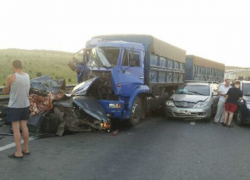 Водитель из Ростовской области стал виновником чудовищной аварии