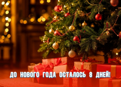 До Нового года осталось 8 дней