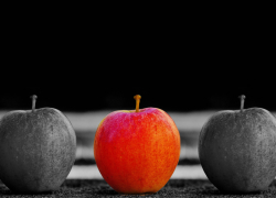 Рост цен, особенности вакцинации от ковида, ограничения по кредитованию: что нового ждет шахтинцев в октябре