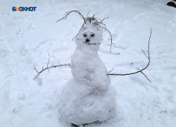 К ночи прогнозируется похолодание до -10°C