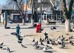 «Птицы гнезда делят»: погода в Шахтах и приметы дня