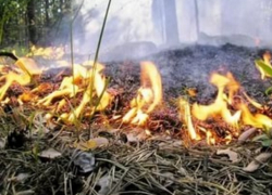 В Шахтах объявлен чрезвычайный уровень пожароопасности
