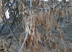 Временами будет выглядывать солнце, возможны и осадки