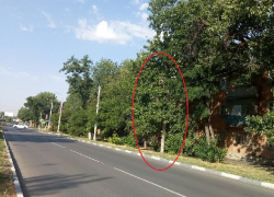 Больше месяца ждут ремонта нового фонаря жители улицы Чернокозова в Шахтах