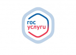 Теперь на госуслугах можно регистрироваться с 14 лет 