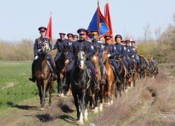 По улицам Шахт продут сто пятьдесят лошадей